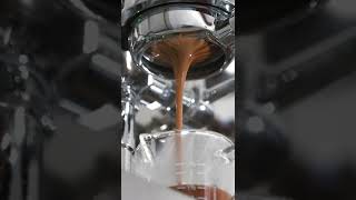 Pulling Golden Hour Espresso Blend #Shorts