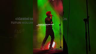 Ciğerimi Deliveren Aski Görün/ Zombi - Adamlar Lyrics #shorts #music #aşk #love #tiktok #short #fyp