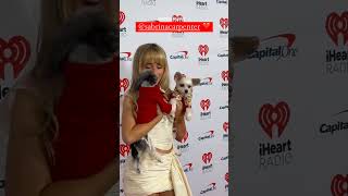 Sabrina Carpenter with puppies at Jingle Ball 2023 #sabrinacarpenter Tingerbelldog