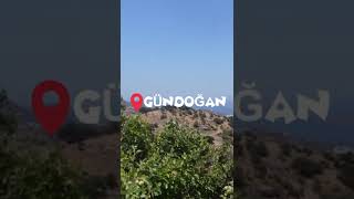 Bodrum gündoğandan özel kareler #shorts #bodrum #gundogan #keşfet