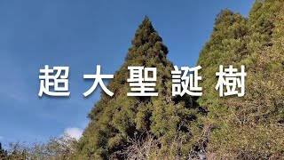 台大田園課高冷組（上）：在山上過聖誕節真是浪（清）漫（靜）啊...