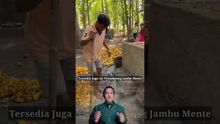 Kamu Harus Tau,Begini Cara Pembuatan Minuman   ala Vrindavan #shorts #vrindavan