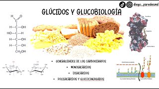 GLÚCIDOS Y GLUCOBIOLOGÍA CAPÍTULO 7 LEHNINGER