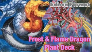 Edison Format Frost & Flame Dragon Plant Deck Profile