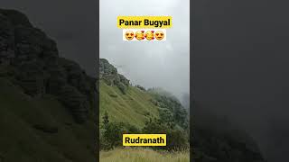 Panar Bugyal 😍🥰 #viral RudraNath #trending #shortvideo #shorts #rudranath #kedarnath #vlog #reels