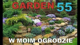 GARDEN 55 - Kwiaty w moim starym ogrodzie - Kot ogrodnik