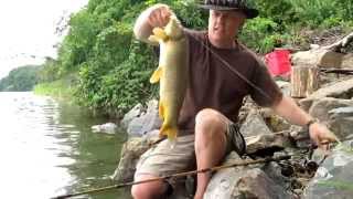 Carp Fishing with Ken at Spruce Run Reservoir - Ken Beam fishing for Carp