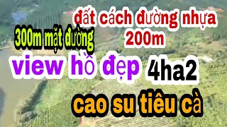 #đất rẻ đăk nông# 4ha2 đất đẹp nguồn thu mạnh.đăk rtick tuy đức đăk nông, giá 3ty8