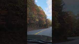 🍁Curvas Peligrosos🍂 -🍂 Viajando en Carretera🍁