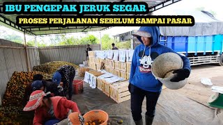 TRIP TRUK DARI KEBUN SAMPAI PASAR