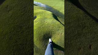 Lawn Bubble || #shorts #youtubeshorts