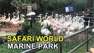 SAFARI WORLD BANGKOK, ENJOY MARINE PARK AND ITS SHOWS with explanation.