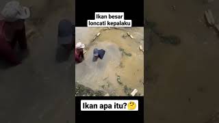 Mancing ikan sampai lompat