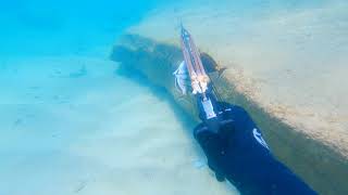 (full video) I took my big Bro to his 1st Spearfishing in Oahu Hawaii. Catch and cook @ the hotel!