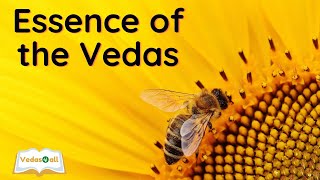 Webinar on the Vedas |10 July 2023 | Essence of the Vedas