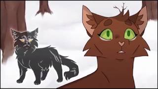 Warrior Cats Tribute - Everybody Lies