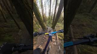 These trails weren’t built for 29ers! #mountainbike #endurobike #bike #enduro #downhill