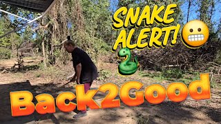 Back2Good snake alert! 🐍 | Off-grid Living,  RV Life,  Couple build