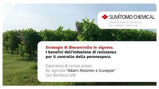 Biocontrollo su vite. Romeo: I benefici dell’induzione di resistenza per il controllo di Peronospora