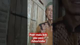 putri malu pakan menyehatkan