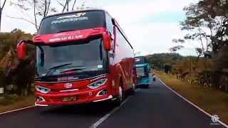 Story wa bus 44Trans ||Story'wa 30Detik|| #44Trans #MJPG