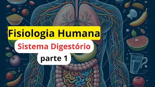 Anatomia e Fisiologia do Sistema Digestório: tudo que você precisa saber para tirar 10 na prova!