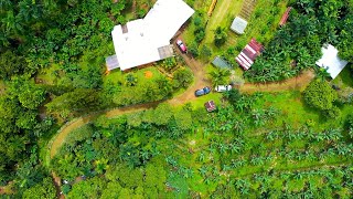 2022 Costa Rica Permaculture Farm-Tour: Beautiful 18 Year-old Homestead + Farm (Part One)