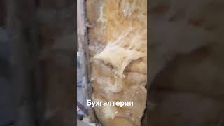 Черная бухгалтерия