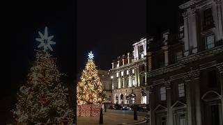 Christmas Tree London #london#londonlife#christmaslights