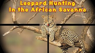 Best Hunting Leopard in the African Savanna