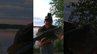 Largemouth Bass catch and release! #shorts #largemouth #bass #fishing #catchandrelease #2022 #bigone