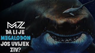 Postoji li mogucnost da je megalodon ziv?