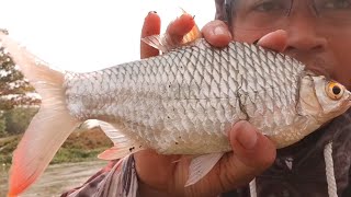 MANCING IKAN JAUH LEBIH MUDAH JIKA KITA SUDAH TAU HABITATNYA.