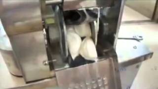 Video of operation about dumpling machine 1