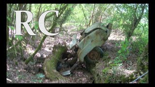 RC. L'aronde détruite en forêt.