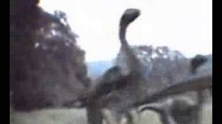 jurassic park screen test thingy