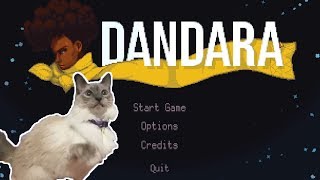 playing dandara with my cat