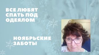 Все любят спать под одеялом