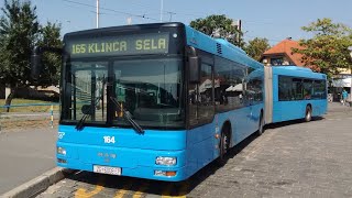 top 5 ZET buses