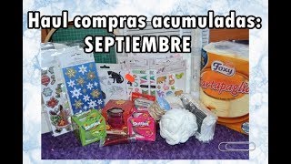 Haul Compras Acumuladas de Verano y Septiembre (Bazares, Tedi...)