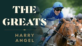 The story of a horse who was born to RUN - Harry Angel