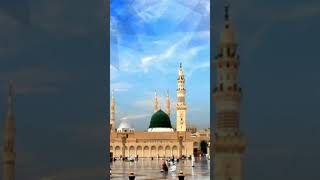 taray shar main  # naat sharef #viral short