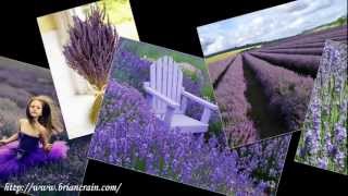 Brian Crain "Lavender Hills" by Brian Crain (HD)