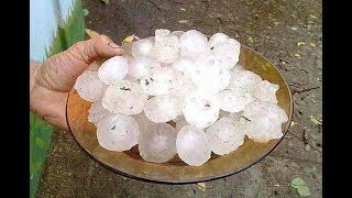 Freak hailstorm struck Spain, killing sheep and smashing cars