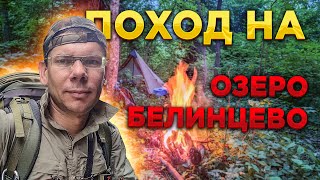 🐾 Опять следы косолапого! ДИКОЕ болото Белинцево. Ночь в палатке