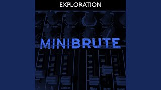 MiniBrute V