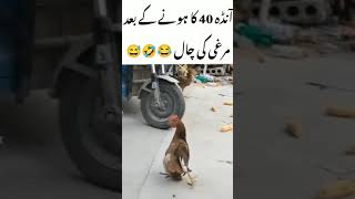 آنڈہ 40 کا ہونے کے بعد ،مُرغی کی چال 😂🤣😅 #youtube #ytshorts #kaashtv #youtubeshorts