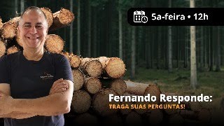 #38 Novo Fernando Responde: Traga suas perguntas