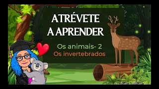 OS ANIMAIS 2 - OS INVERTEBRADOS