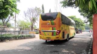 Kedatangan Bus Di Terminal Purabaya (31 Desember 2015)